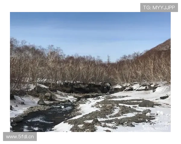 世界杯实时比分更新与数据分析全程跟踪 - 副本 (2) - 副本